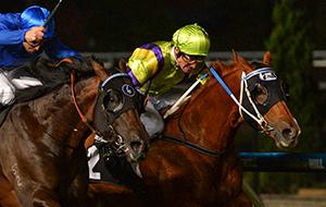 william-reid_feature