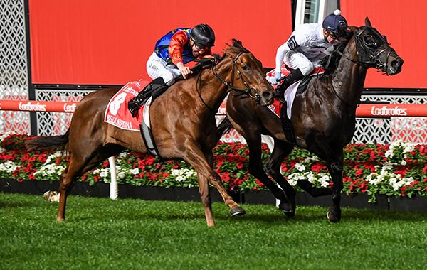2022-ladbrokes-manikato-stakes-night-prelude-600x380
