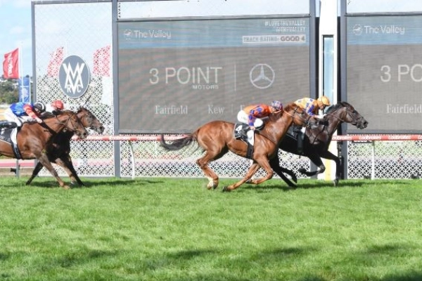 2024 3 Point Motors William Reid Stakes Review