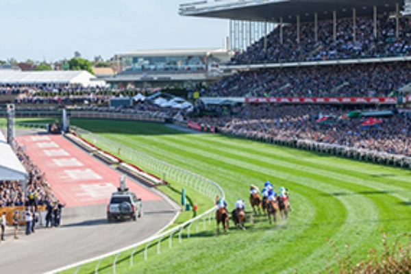 Racecourse Admission