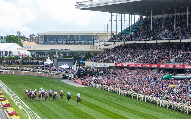 cp-carnival-hub-page_web_800x500_faq