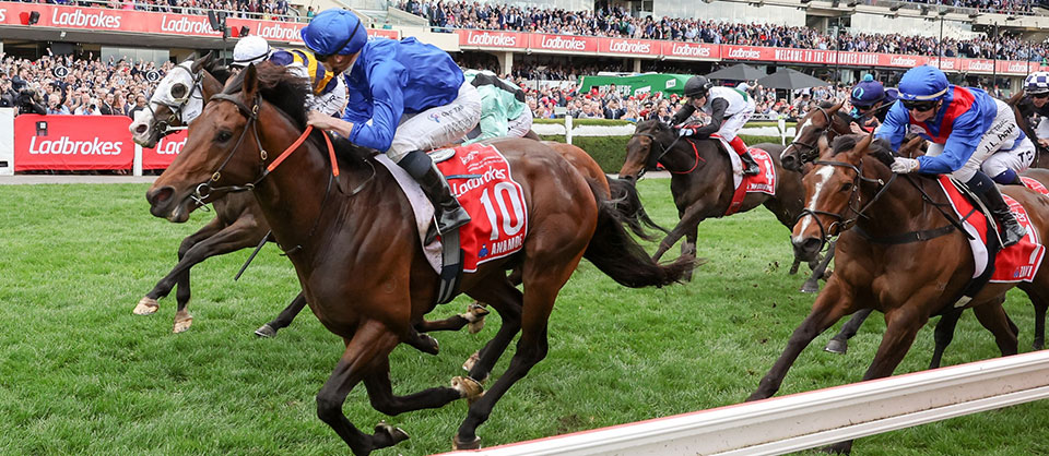 anamoe-wins-cox-plate-960x418